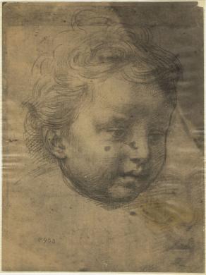 Philpot Jhon Brampton, Firenze, Uffizi, Gabinetto Disegni e Stampe, Andrea del Sarto, Testa di Putto, albumina/carta, CC BY-NC-ND