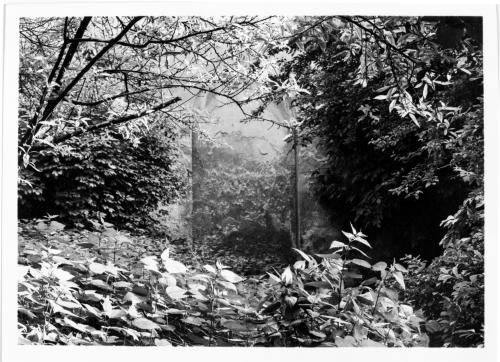 Gigli, Attilio, Bologna, Giardino interno con veduta prospettica, gelatina/ pellicola, CC BY-NC-ND