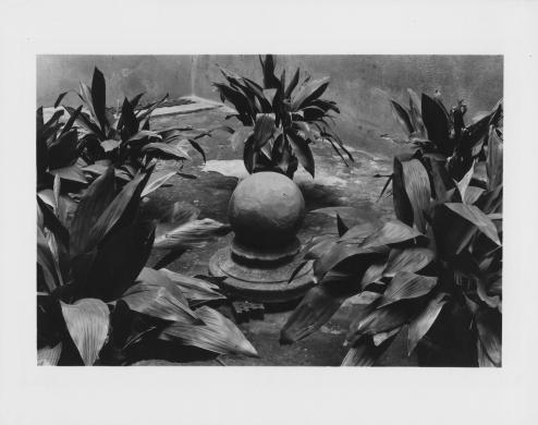 Gigli Attilio, Elementi di giardino in un interno bolognese, gelatina/ carta, CC BY-NC-ND