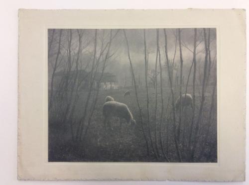 Peretti Griva, Domenico Riccardo, Ultime luci, Stampa al bromolio, CC BY-SA