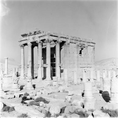 Giuliano, Antonio, Siria, Palmira - Tempio di Baal Shamin, gelatina ai sali d'argento/ pellicola (negativo), CC BY-SA