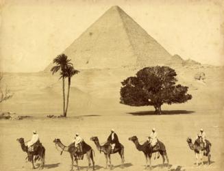 Archivio fotografie Africa