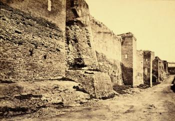 Archivio Fotografie dell' Ottocento