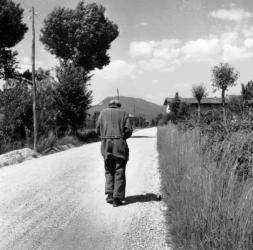 Archivio Fotografi del Friuli Venezia Giulia