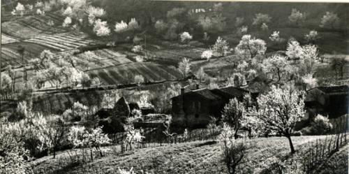 Bruno, Giuseppe, Colli Euganei, stampa ai sali d'argento, CC BY-SA