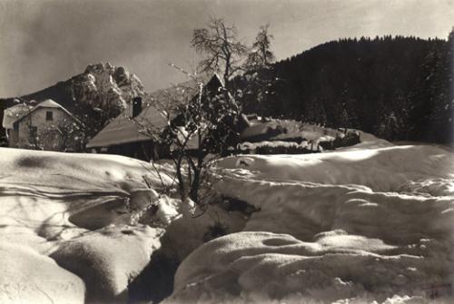 Silvio Maria Buiatti, Poesia della neve, stampa ai sali d'argento, CC BY-SA