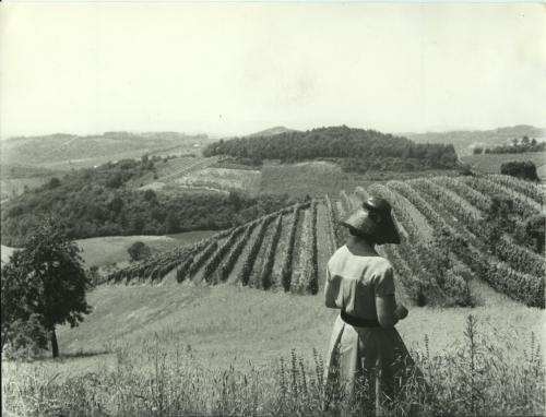 Anfosso, Carlo, Vigneti nell'Astigiano, gelatina a sviluppo, CC BY-SA