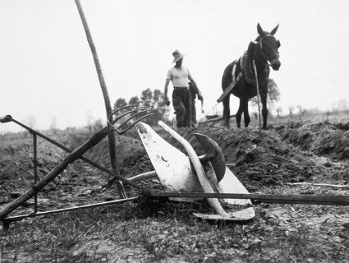 Beltrame, Aldo, Un paese del Friuli, stampa ai sali d'argento, CC BY-SA