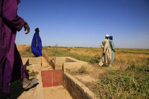 Collettivo Semi Rari, Progetto Fiume Niger - Impianti di irrigazione, Digitale, CC BY-SA