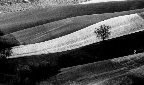 Nino De Carne, Da Teramo ad Atri, stampa ai sali d'argento, CC BY-SA