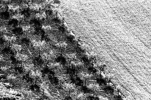 Nino De Carne, Da Teramo ad Atri, stampa ai sali d'argento, CC BY-SA