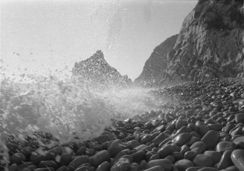 Nocera, Enzo, Ritratto del Monte. Da Camogli a Levanto via bosco 1974, gelatina bromuro d'argento / carta, CC BY-NC-ND