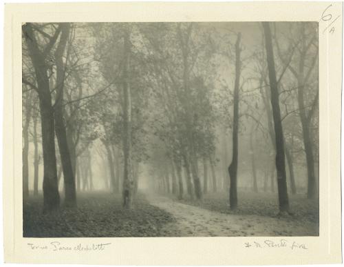 Peretti Griva, Veduta di un vialetto alberato con nebbia del Parco Michelotti a Torino, carta/bromolio, CC BY-SA