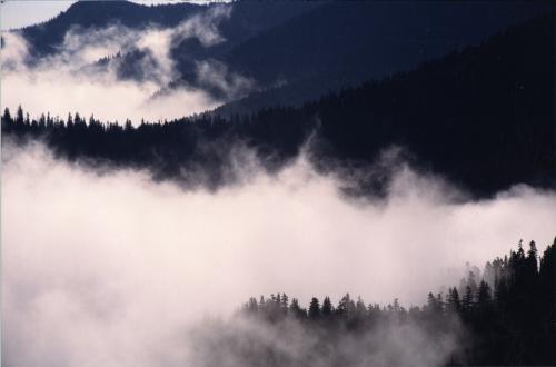 Nino De Carne, Nebbia su Hurricane Ridge - Olympic national Park, cibachrome, CC BY-SA