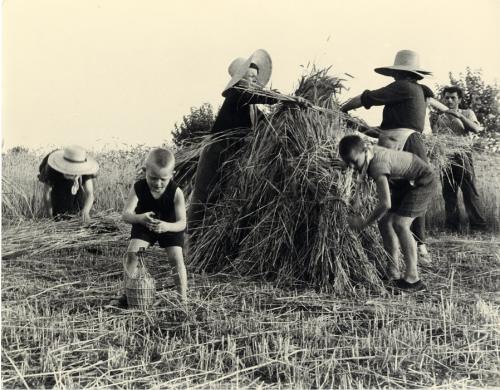 Tarcisio Baldassi, Tutti al lavoro, CC BY-SA