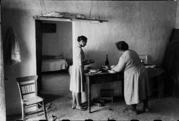 Archivio Nicolini Toni