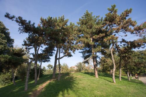 Goffi, Roberto © MuseoTorino, Scorcio di parco Ruffini, Torino, digitale, CC BY-SA