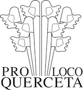 Logo Associazione Pro Loco Querceta