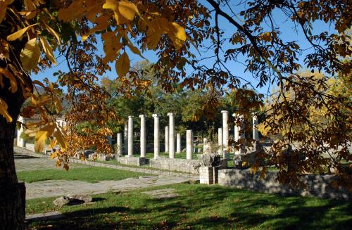 Epifani Vito, Foro e Basilica - Altilia - Sepino (CB), 1950 ca., CC BY-SA