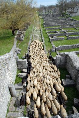 Epifani Vito, Tratturo-Decumano - Altilia - Sepino (CB), 1950 ca., foto digitale, CC BY-SA