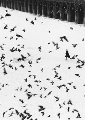 Berengo Gardin, Gianni, Venezia, gelatina bromuro d'argento / carta, CC BY-NC-ND