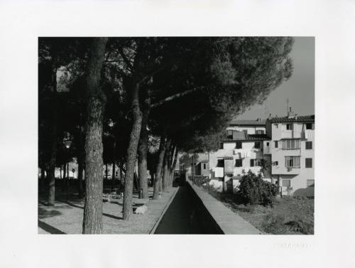 Basilico, Gabriele, San Casciano in Val di Pesa, gelatina bromuro d'argento / carta, CC BY-NC-ND