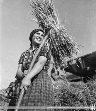 Fazioli, Ernesto, Battaglia del Grano. Contadina con un fascio di spighe, stampa originale, CC BY-NC-ND