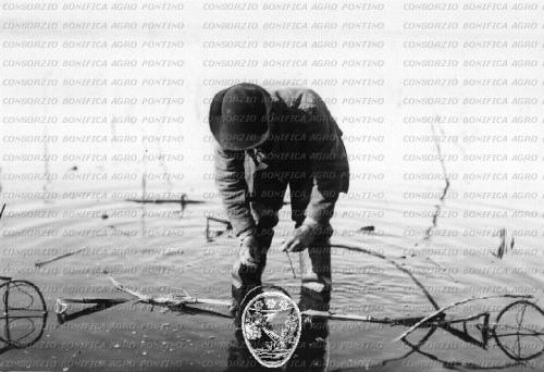 Tosti Croce, Edoardo, Cacciatore con trappole, CC BY-SA