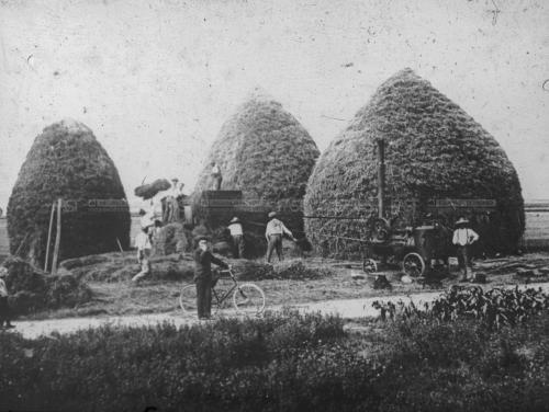 Anonimo, Agricoltori al lavoro con trebbiatrice a vapore, anni '30 – Fondo Agricoltura -, gelatina al bromuro d'argento/ vetro, CC BY-SA