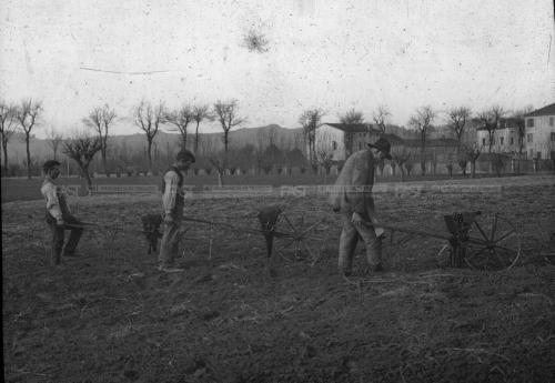 Anonimo, Agricoltori sul campo con seminatrici manuali, anni '30 – Fondo Agricoltura -, gelatina al bromuro d'argento/ vetro, CC BY-SA