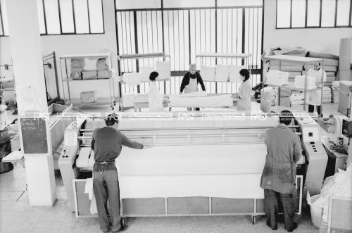 Bragaggia, Ettore, Treviso, operai al lavoro in una lavanderia, 1965 - Fondo Ettore Bragaggia -, 1965, gelatina al bromuro d'argento/ pellicola, CC BY-SA