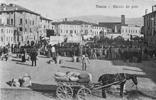 Fini, Giuseppe - Studio fotografico (1928-1991), Treviso, Piazza del Grano in un giorno di mercato, 1927 - Fondo G. Fini -, gelatina al bromuro d'argento/ pellicola, CC BY-SA