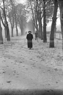 Nascimben, Aldo, Treviso, passeggiata di un prete sul viale delle mura, anni '30-'40 - Fondo Aldo Nascimben -, gelatina al bromuro d'argento/ pellicola, CC BY-SA