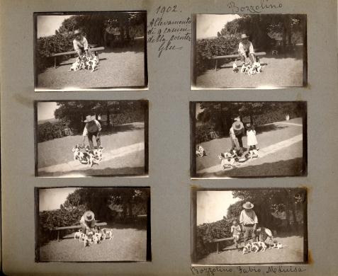 Tozzoni, Francesco Giuseppe, Album Kodak Souvenir. 1899-1905 - Tenuta di Bozzolino, gelatina bromuro d'argento, CC BY-SA