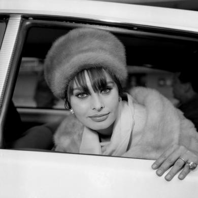 Sofia Loren, CC BY-SA
