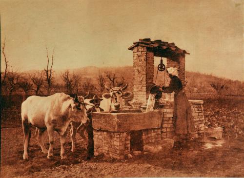 Filippo Rocci (Fara Sabina, 1881 – Rieti, 1965), Al pozzo, 1910-11, resinotipia, CC BY-SA