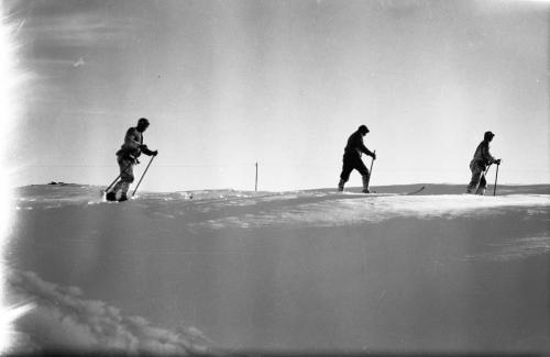 Bonacossa, Aldo, Skiatori in addestramento, 1916, gelatina bromuro d'argento/pellicola, CC BY-NC-ND