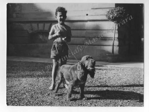 Bessi, Ilario, Mostra nazionale canina: Marina di Massa: Villa Cuturi: 1954, 1954, gelatina ai sali d'argento/carta, CC BY-NC