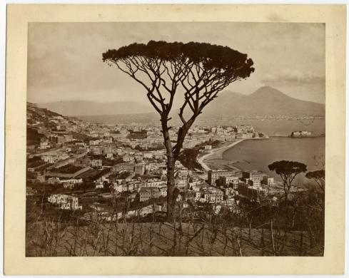 Giacomo Brogi, "Panorama di Napoli", 1878, stampa all’albumina, inv. VI C 57, CC BY-SA