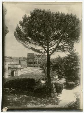 fotografo non identificato, Roma, Colosseo e Arco di Tito, primo quarto XX secolo, stampa alla gelatina sali d'argento, inv. VI C 93, CC BY-SA