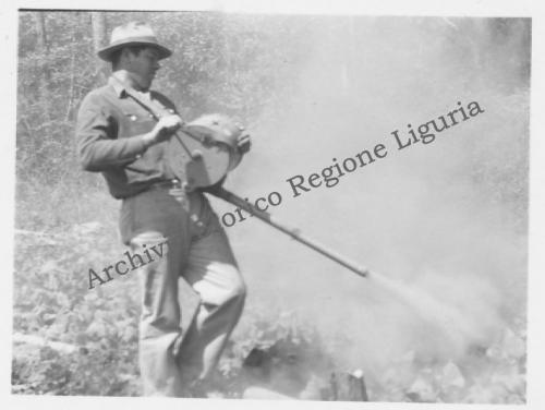 Jannone, Giuseppe, Trattamento con anticrittogamico effettuato in una piantagione di tabacco di un’azienda agricola di Florence, centro abitato situato nello stato del Colorado, 17/04/1951, Gelatina ai sali d'argento/carta, CC BY-NC-ND