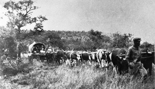 Sudafrica, trasporto della famiglia Marucchi nel territorio del Transvaal, con carro trainato dai buoi, 1908, Gelatina ai sali d'argento su carta, CC BY-SA