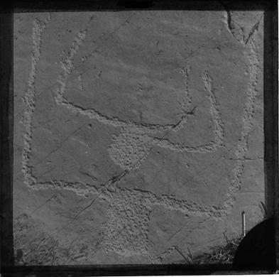 Bicknell,  Clarence, Monte Bego: incisioni rupestri (attr.), lastra negativa alla gelatina bromuro d'argento, CC BY-SA