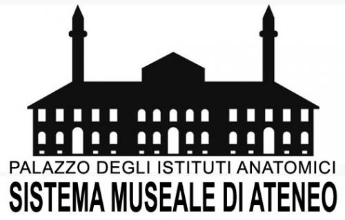 Logo Sistema Museale di Ateneo – Università degli Studi di Torino
