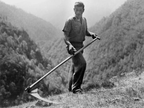Marciandi, Matteo, La falciatura nei pascoli dell’alpe, 1938-40., CC BY-SA