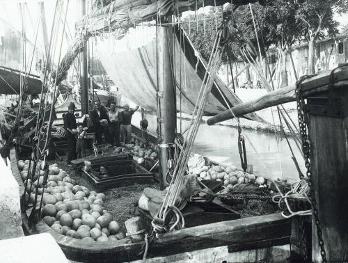 Anonimo, Pescatori nel porto di Fano, 1910 circa, gelatina a sviluppo, CC BY-SA