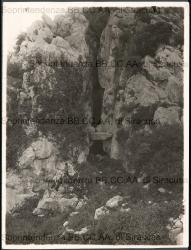Archivio Fotografico - Natura
