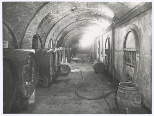 Enopolio, cantina, anni Quaranta-Settanta, CC BY-NC-ND