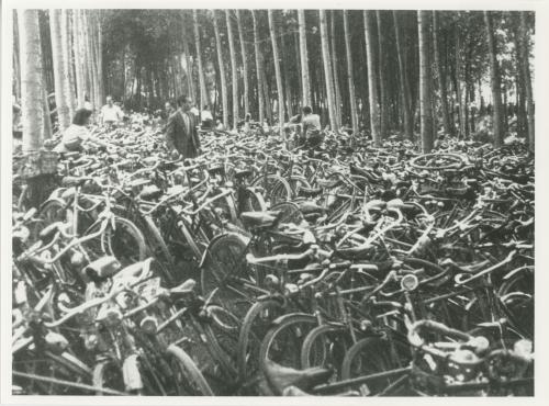 Le biciclette parcheggiate per la Festa de L'Unità alla confluenza del Po-Sangone, Torino 1948, CC BY-NC-ND