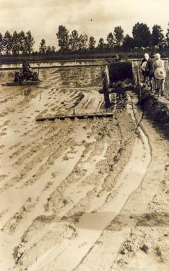 Vercellesi, preparazione della risaia, Scannerizzate da originale, CC BY-SA